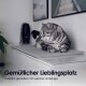 Eine entspannte graue getigerte Katze ruht auf einer weichen grauen Matte auf einem weißen Schrank, mit gerahmten Bildern hinter ihr. Text lautet "Gemütlicher Lieblingsplatz."