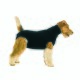 Hundebody Recovery Suit schwarz M-L