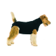 Eine Seitenansicht eines Hundes, der ein enges schwarzes Shirt trägt, das sein flauschiges Fell und seine verspielte Haltung zeigt.