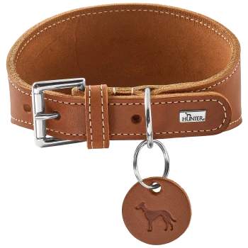 Breites braunes Lederhalsband für Hunde mit Metallschnalle und D-Ring, rundem Lederanhänger mit geprägtem Hundemotiv und Metallplatte mit der Aufschrift „HUNTER“.