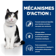 Un chat noir et blanc est assis devant un fond bleu avec un texte détaillant les bienfaits digestifs, un mélange prébiotique et une haute concentration en vitamine B.
