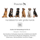 Großes Hundebett mit der Bezeichnung "Pointer" und "3XL", mit geeigneten Rassen wie Rottweiler und Bernhardiner, die darunter aufgelistet sind.