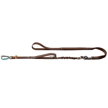 Braune Nylon-Hundeleine mit gepolstertem Griff, bungee-stoßdämpfendem Abschnitt, Metallkarabiner und -clip, kleinem aufgenähten Etikett.