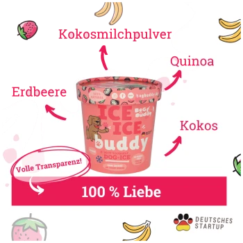 Pinkfarbener Behälter mit Hundeeis, beschriftet mit „ICE ICE buddy“ und Zutaten Erdbeere, Kokosmilchpulver, Quinoa und Kokos.