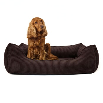 Braunes Corduroy-Hundebett mit erhöhten Rändern für Komfort, mit einem kleinen Etikett, das "PAW WOW" liest.