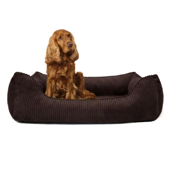 Braunes Corduroy-Hundebett mit erhöhten Rändern für Komfort, mit einem kleinen Etikett, das "PAW WOW" liest.