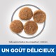 Quatre croquettes rondes pour animaux de compagnie présentées sur un fond clair, avec une légende indiquant "UN GOÛT DÉLICIEUX" et des détails de taille.