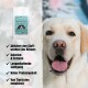Teal Hundefutterverpackung mit Vorteilen: steigert den Stoffwechsel, niedrige Kalorien & Fett, hoher Proteingehalt, langanhaltende Sättigung, vom Tierarzt entwickelt.