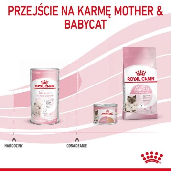 Obraz promujący karmę Royal Canin dla matek i kociąt, pokazujący mleko dla kociąt, mokrą karmę i torbę z suchą karmą z polskim tekstem na temat przejścia.