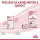 Obraz promujący karmę Royal Canin dla matek i kociąt, pokazujący mleko dla kociąt, mokrą karmę i torbę z suchą karmą z polskim tekstem na temat przejścia.
