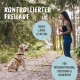 Ein Golden Retriever auf einem Waldweg, mit einem 5-Meter-Leine gesichert. Der Text hebt 'Kontrollierter Freilauf' und Trainingsvorteile hervor.