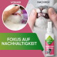 Vorher-/Nachher-Fotos von Katzenzähnen und Baviette-Sprühflakon; sichtbarer Text: 'Vorher', 'Nachher', 'Fokus auf Nachhaltigkeit', 'Zahnreiniger für Katzen'.