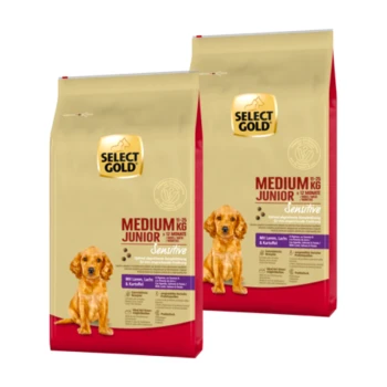Zwei Beutel Select Gold Medium Junior Sensitive Hundefutter, mit einem Bild von einem Golden Retriever Welpen und den Schwerpunkten Lamm, Lachs und Kartoffeln.