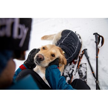Eine Person in Winterkleidung kniet im Schnee und streichelt einen Golden Retriever, der einen schwarzen Hundemantel trägt. Schneebedecktes Gelände und Trekkingstöcke sind sichtbar.