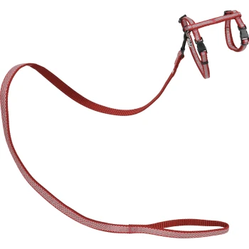 Rotes Haustiergeschirr und Leinen-Set mit einem Zickzackmuster, entworfen für kleine bis mittelgroße Hunde.