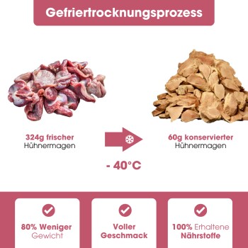 Diagramm für Hundeleckerli-Empfehlungen nach Gewicht, mit einem "KAUDAS" Glas und einem Bild eines schwarzen Hundes. Leckerlis variieren von 2 bis 20 Stück.