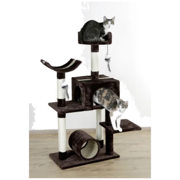 Zwei Katzen spielen auf einem mehrstöckigen braunen Kratzbaum mit Kratzpfosten, einem gemütlichen Versteck und hängenden Spielzeugen.