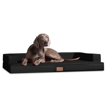 ® Orthopädisches Design Hundesofa GIBSON VISCO Kunstleder kubische Form schwarz 80 cm, 22 cm, 60 cm