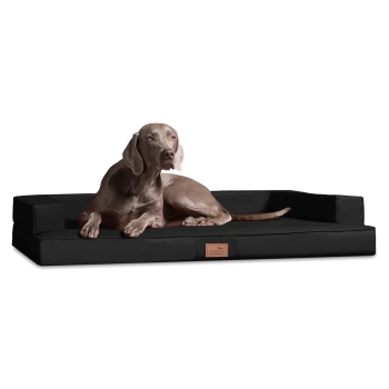 Ein grauer Weimaraner-Hund, der auf einem schwarzen rechteckigen Haustierbett mit erhöhten Rändern liegt, mit einem kleinen Lederetikett.