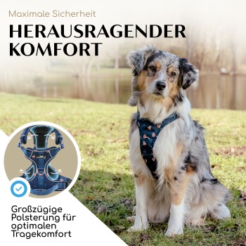 Ein Hund in einem stilvollen Geschirr sitzt auf Gras am Wasser, mit dem Text "Herausragender Komfort" und "Großzügige Polsterung."