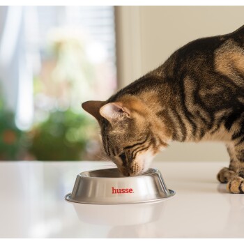 Eine getigerte Katze schnüffelt an einer Futterschüssel aus Edelstahl, in der der Markenname "husse." in Rot sichtbar ist. Der Hintergrund ist sanft verschwommen.