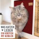 Eine flauschige graue Katze mit auffälligen grünen Augen taucht aus einem gemütlichen roten Versteck auf, begleitet von dem Text 'WAS KATZEN ♥ LIEBEN EIN VERSTECK MIT AUSBLICK.'