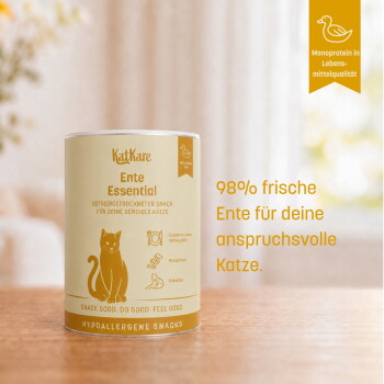 Katze schnuppert an gestapelten Futtersdosen; sichtbarer Text „Hypoallergen & funktional — das tut deiner Katze gut“ sowie deutsche Vorteilsangaben