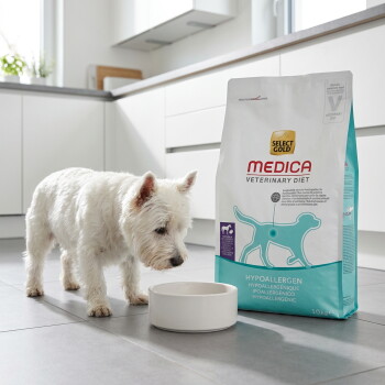 Weißer Westie schnüffelt an einer Schüssel neben einem Beutel Select Gold Medica Veterinary Diet Hypoallergen-Hundefutter in der Küche. – KI-generiert