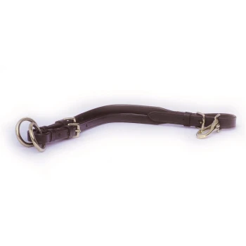 Braune Lederleine für Hunde mit Metallringen und einem Clip, entworfen für sichere Befestigung und Komfort.