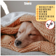 Ein schlafender Hund, eingewickelt in eine gemütliche orangefarbene Decke, mit einem Text, der hervorhebt, dass das Produkt Gerüche, Keime, Viren, Bakterien und Pilze beseitigt.