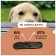 Nahaufnahme des Gesichts eines Golden Retrievers mit verschwommenem grünem Hintergrund und einem Leckerli mit der Aufschrift "Nur natürliche Zutaten."