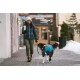 Eine Person in einer blauen Daunenjacke und Mütze, die einen schwarz-weißen Hund mit einem blauen Mantel auf einer verschneiten Straße ausführt.