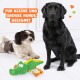 Ein schwarzer Hund und ein kleiner weiß-brauner Hund sitzen neben einem grünen krokodilförmigen Spielzeug. Der Text lautet "Für kleine und große Hunde geeignet."