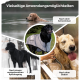Drei Hunde: ein schwarzer Hund in einem Trockenmantel, ein nasser Golden Retriever und ein schwarzer Hund nach dem Spaziergang. Text lautet "Vielseitige Anwendungsmöglichkeiten."