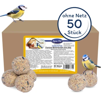 Premium Meisenknödel ohne Netz 4,25 kg Premium-Vogelfutterbälle ohne Netz, mit einem Blaumeisen, die auf der Schachtel sitzt, und einem weiteren auf einem Futterball. Die Schachtel enthält 50 Stück.