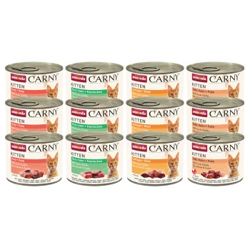 Zwölf Dosen Animonda Carny Kittenfutter in verschiedenen Geschmacksrichtungen, beschriftet mit "100% frische Zutaten" und "Ohne Getreide & Zucker."