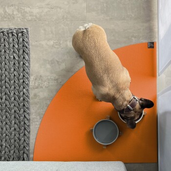 Ein sandfarbener Hund mit einem braunen Halsband frisst aus einer grauen Schüssel auf einer orangefarbenen Fütterungsmatte, neben einem strukturierten grauen Teppich.