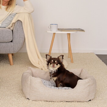 SPOT Ethical Pets Sleep Zone Hundebett Klein – Wendbares Plüschbett Für Katzen & Kleine Hunde, 45,7x40,6 Cm