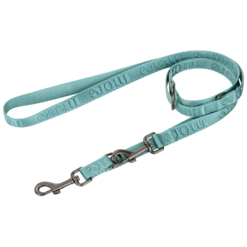 Light blue adjustable dog leash with metal clips and embossed text "Mollie" on the strap.