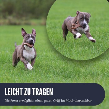 Ein verspielter Hund läuft auf Gras, mit einem Nahaufnahme-Inset. Text: "LEICHT ZU TRAGEN" und "Guter Griff, abwaschbar."