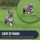 Ein verspielter Hund läuft auf Gras, mit einem Nahaufnahme-Inset. Text: "LEICHT ZU TRAGEN" und "Guter Griff, abwaschbar."