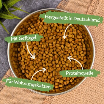 Hände halten einen Haufen Trockenfutter für Haustiere, mit einem Abzeichen, das "15 Jahre" und "Beste Qualität" auf Deutsch angibt, umgeben von Hundeleckerlis.