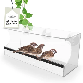 Drei Spatzen sitzen auf einem klaren Acryl-Vogelfutterhaus mit schwarzem Sockel, beschriftet mit "XL Fenster Futterhaus" von Wildlife Home.
