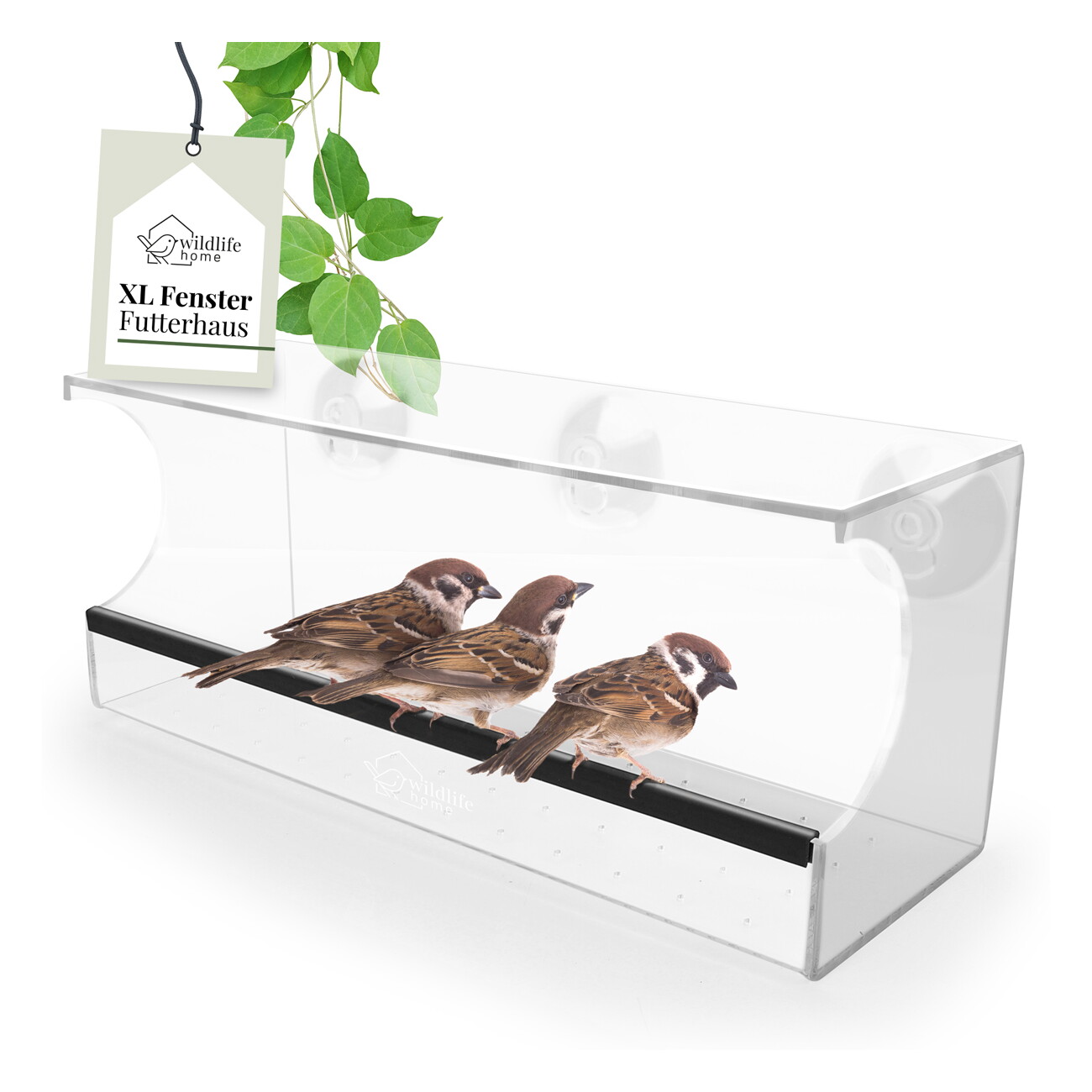 Vogelfutterstation Für Fenster, Transparentes Leic Produktbild-Vorschau 4