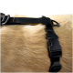 Nahaufnahme eines schwarzen Hundegeschirrs auf dem Fell eines goldenen Hundes, das die verstellbaren Riemen und Schnallen zeigt.