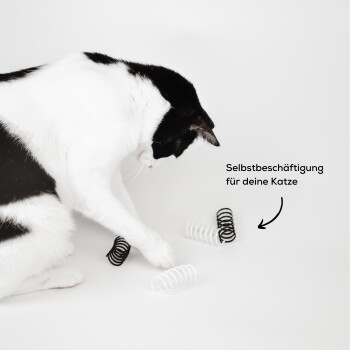 Eine schwarz-weiße Katze spielt mit Spiralspielzeugen auf einem weißen Hintergrund, mit dem Text 'Selbstbeschäftigung für deine Katze.'
