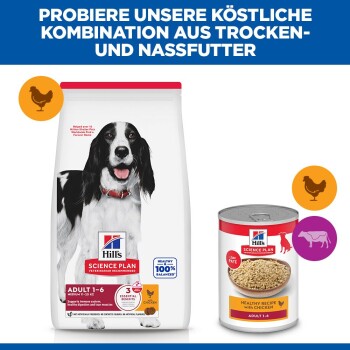 Hill's Science Plan Trockenfuttersack und Dose mit Hühner-Nassfutter, Aufschriften 'Adult 1–6', 'Healthy 100% Balanced' und 'Healthy recipe with chicken'