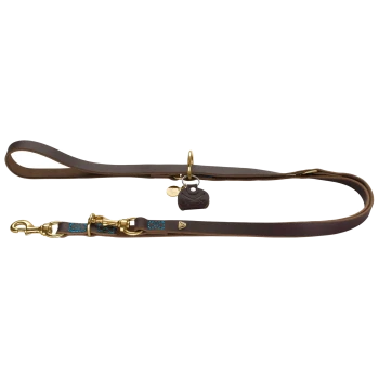 Braune Leder-Hundeleine mit goldenen Beschlägen und türkisfarbenen Akzenten, mit einem Halter für Müllbeutel.