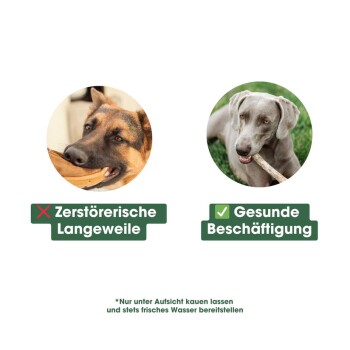Bild eines Deutschen Schäferhundes mit "Zerstörerische Langeweile" und eines Weimaraners mit "Gesunde Beschäftigung."