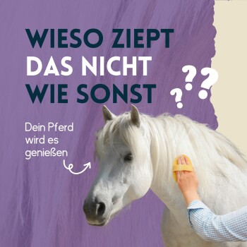 Mähnen Pflegespray 2,5 l